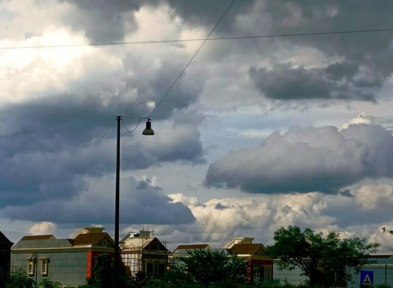 Photo by Tanvi :).