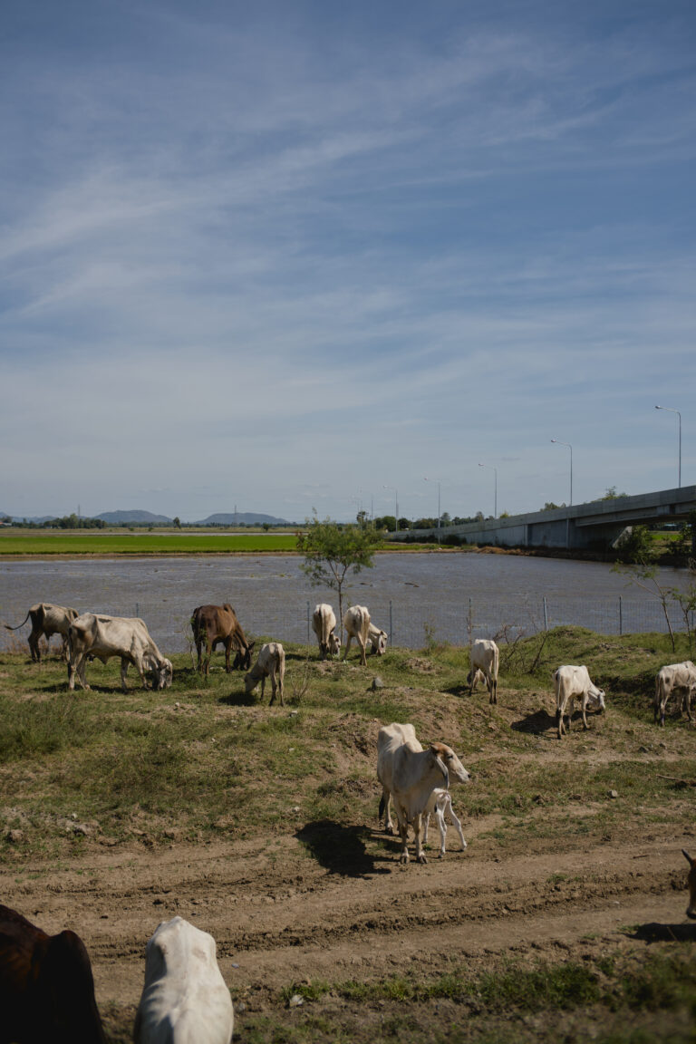 Photo by Nanthawat Maksampan