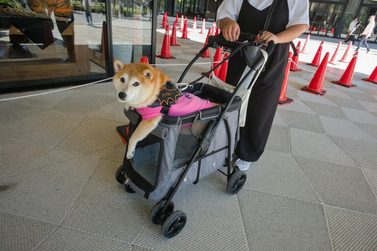 Photo by Black Pixel