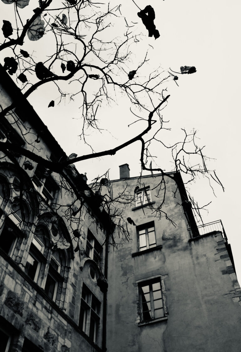 Photo by Michael Kjær