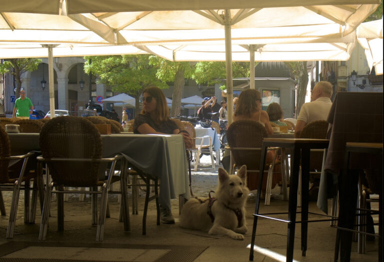 Photo by David Sheppard