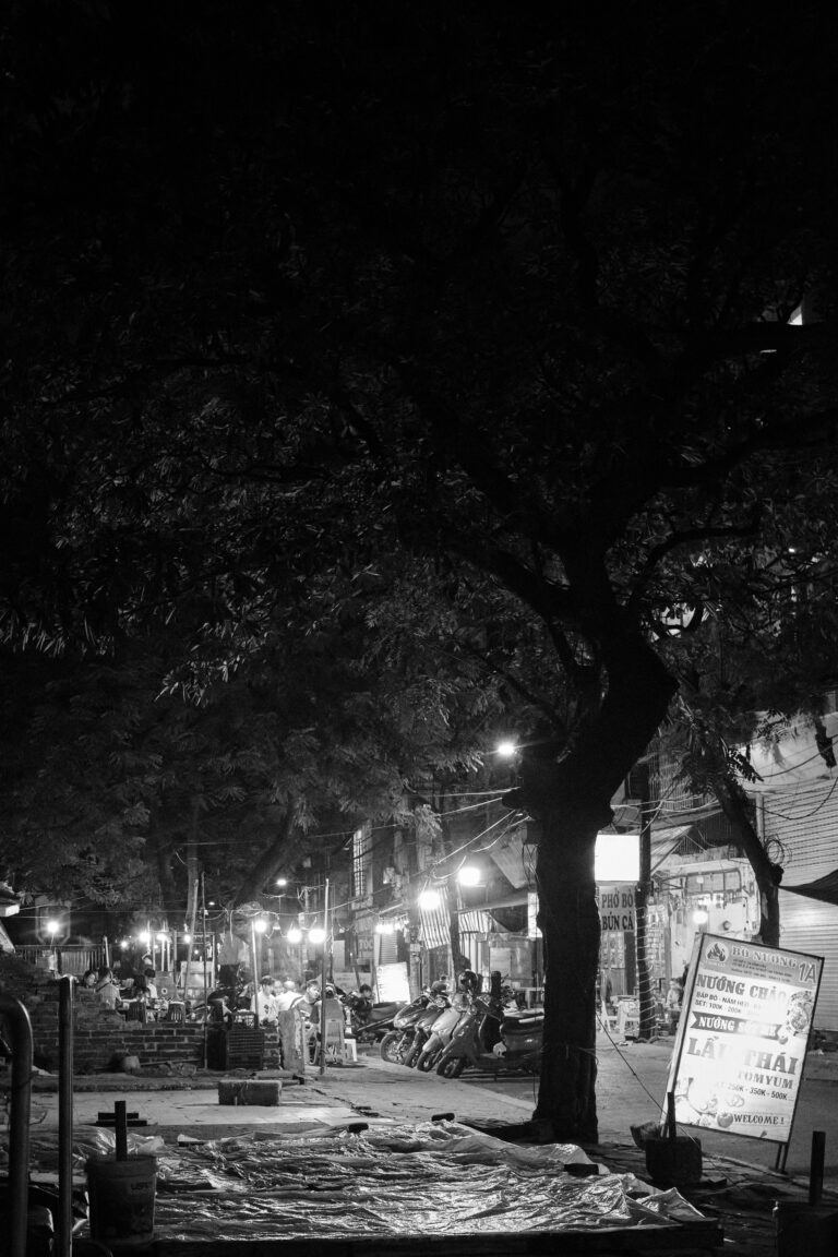 Photo by Mohamed Sameer