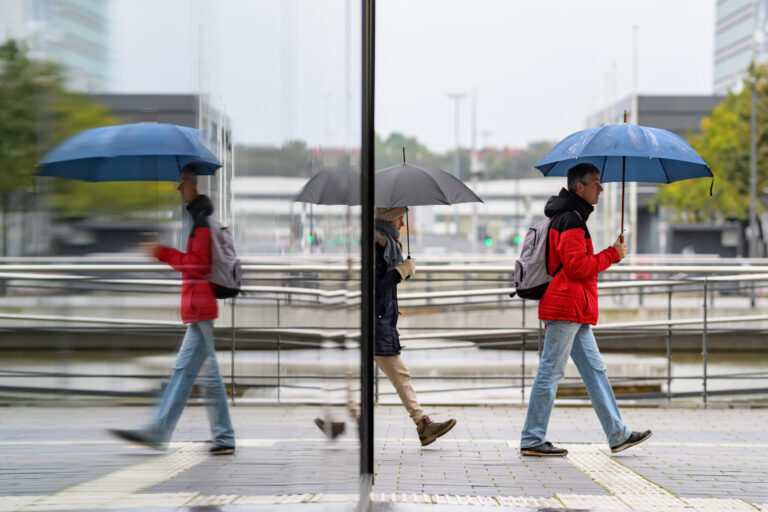 Photo by Thore Siebrands