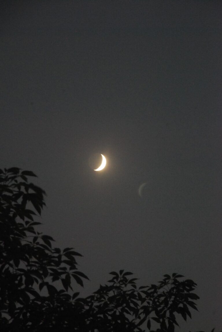 Photo by Dhruv Coppisetti