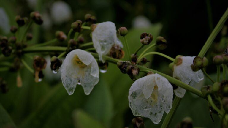 Photo by Muhammad Taufiq Fauzan