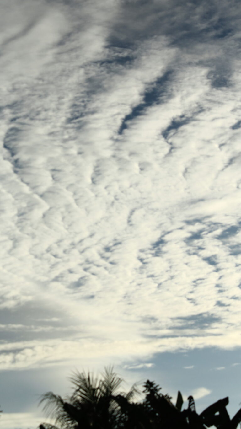 Photo by Muhammad Taufiq Fauzan