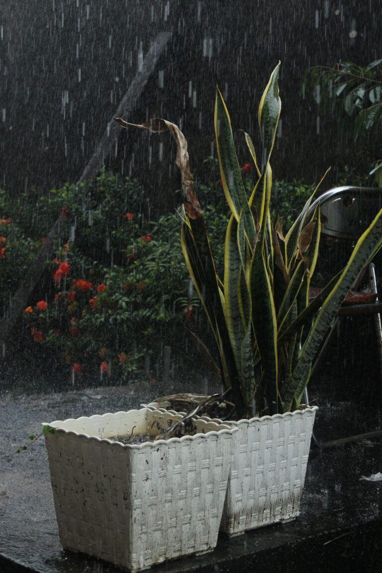 Photo by Muhammad Taufiq Fauzan