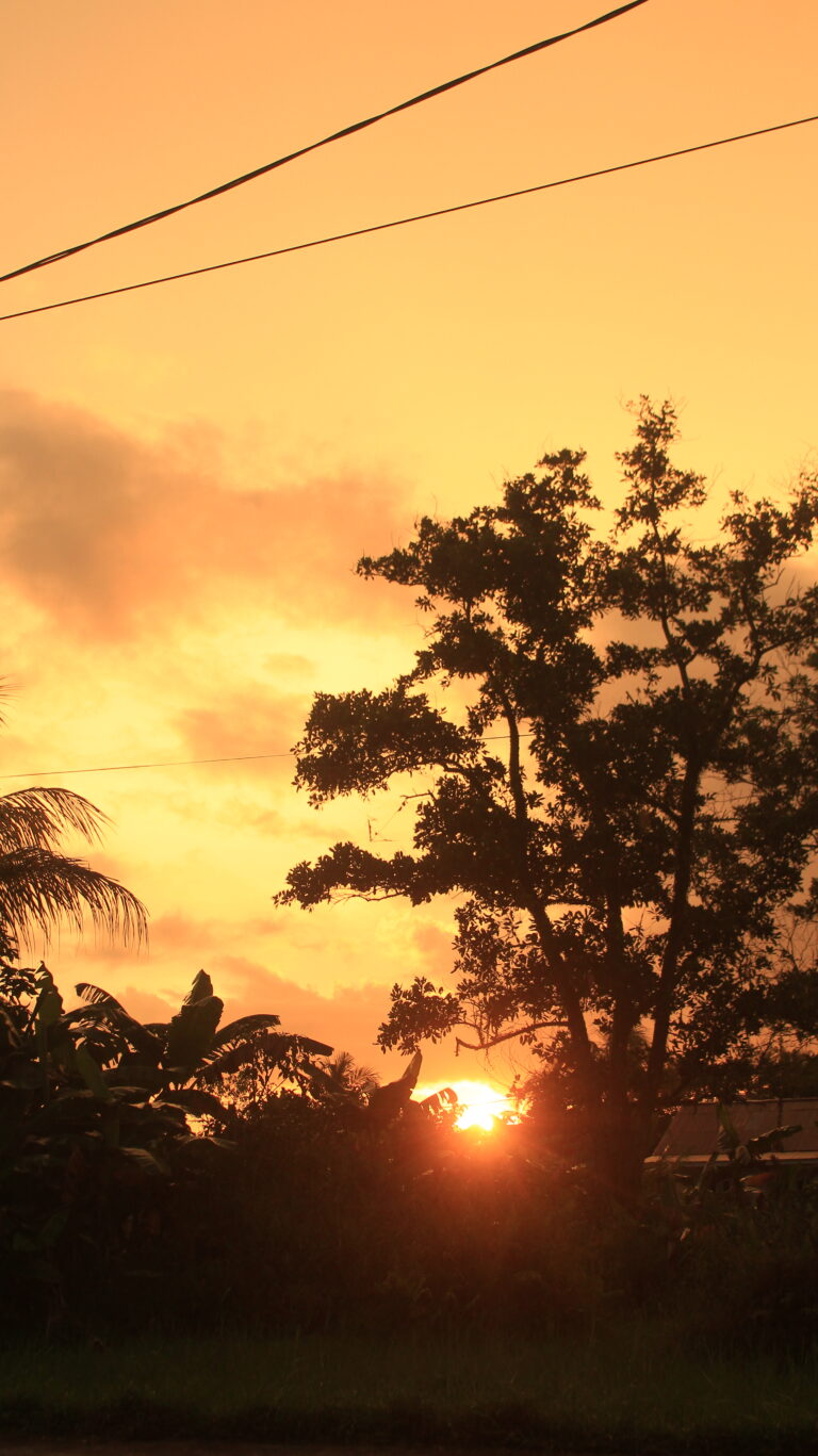 Photo by Muhammad Taufiq Fauzan