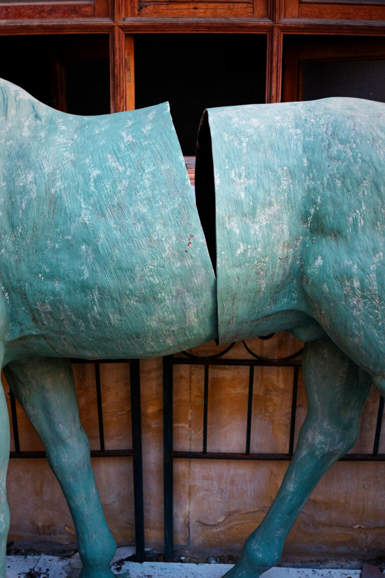 Photo by Trevor Morse