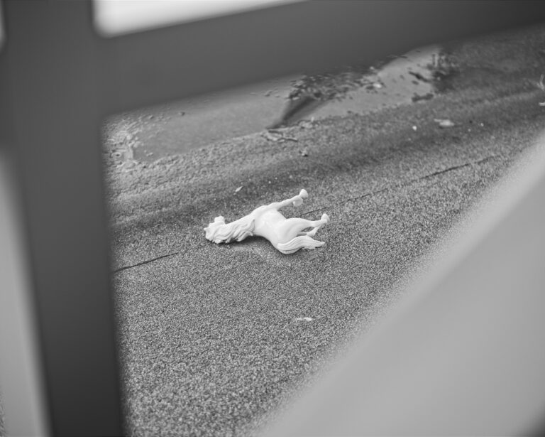 Photo by Mike Carter