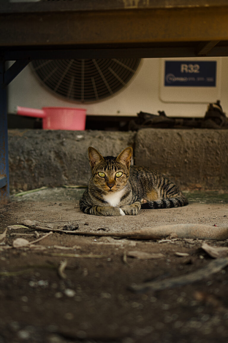 Photo by Nanthawat Maksampan