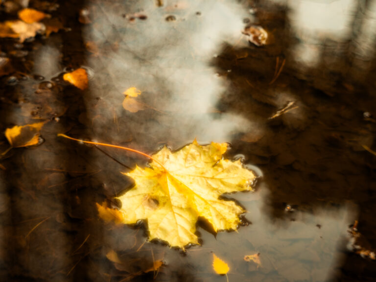 Photo by Ruslan [▪︎_▪︎]