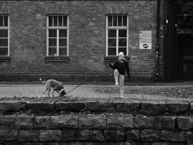 Photo by Tero Palmio