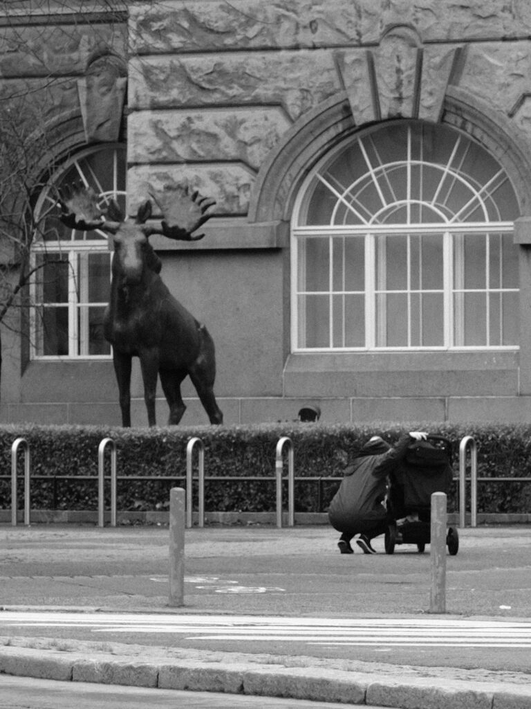 Photo by Tero Palmio