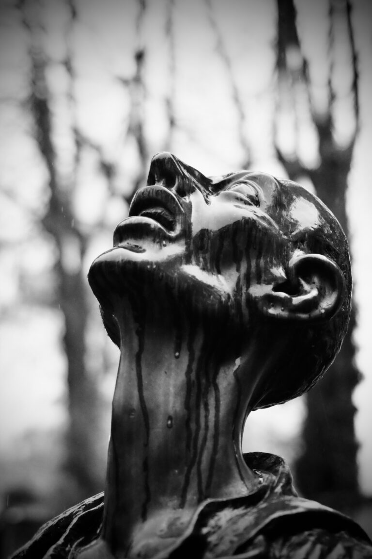 Photo by Jef 📷🍀