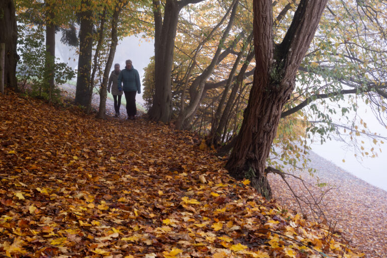 Photo by Moe Kilchsperger