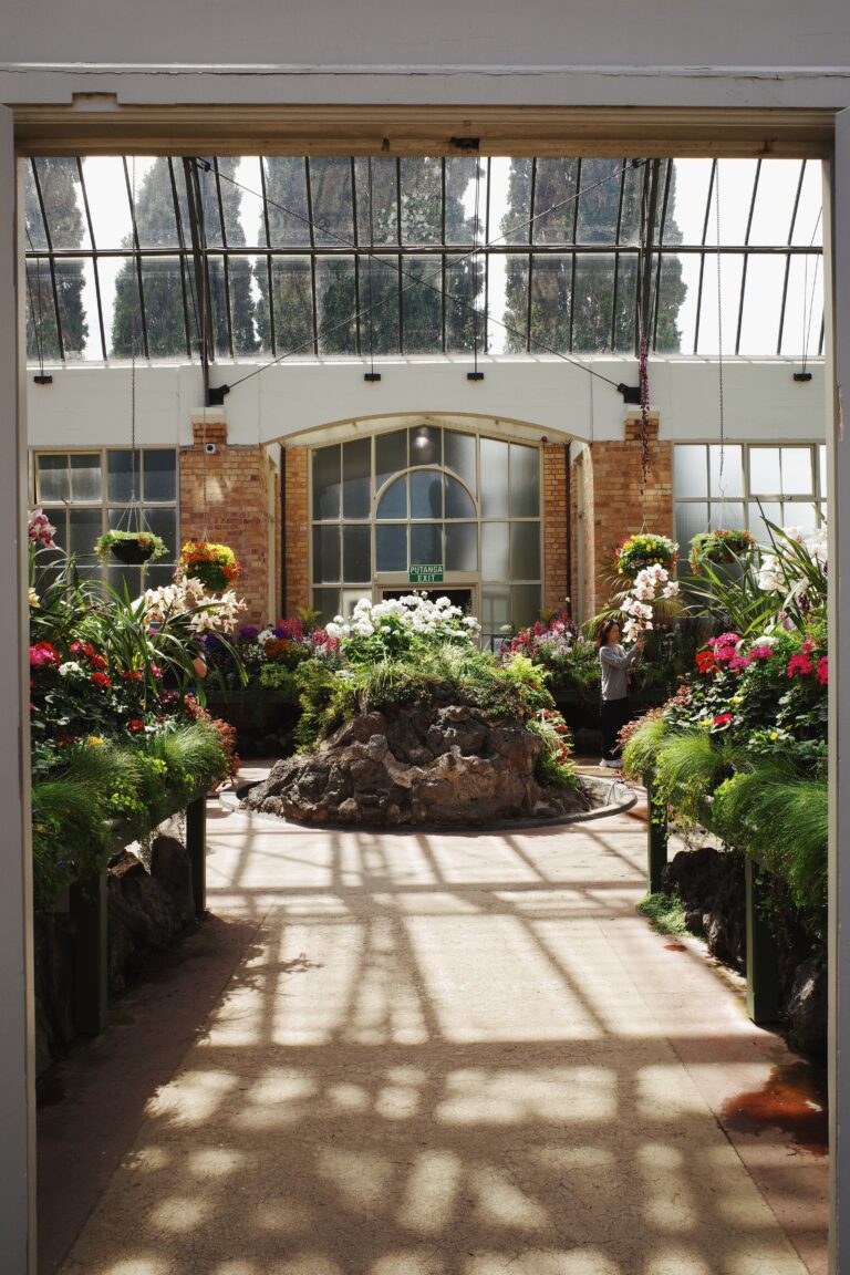 Photo by Ara In The Para