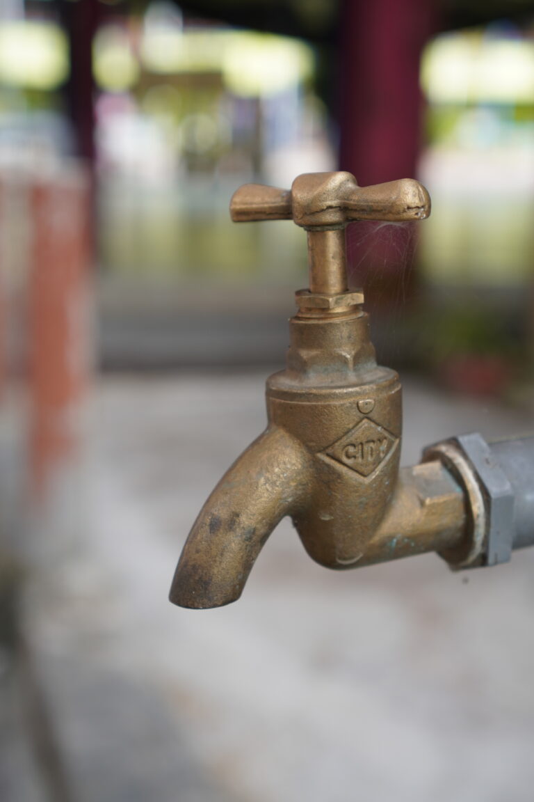 Photo by Papa Shutterbug