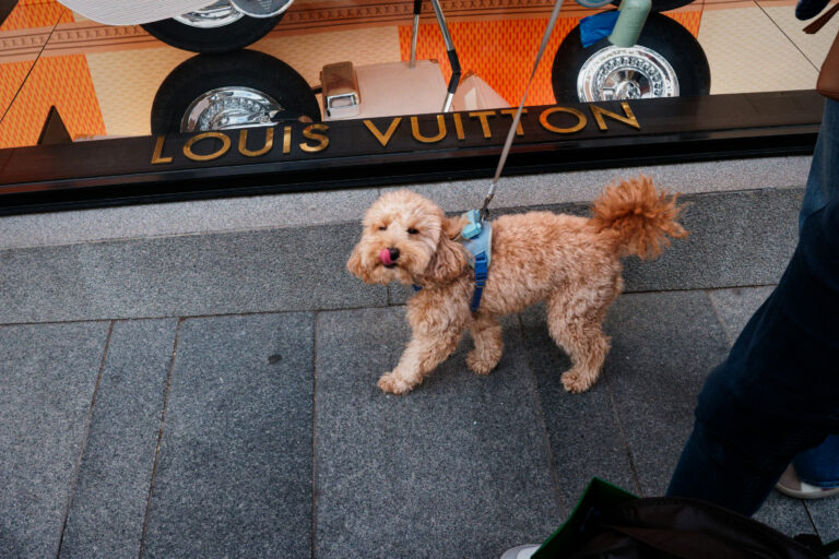 Photo by Trevor Morse