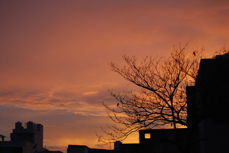 Photo by Dhruv Coppisetti