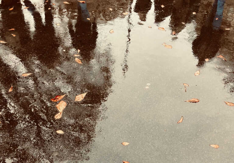 Photo by Michael Kjær