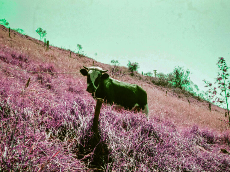 Photo by Adrian Romero