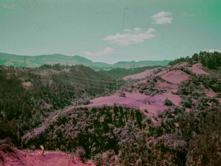 Photo by Adrian Romero