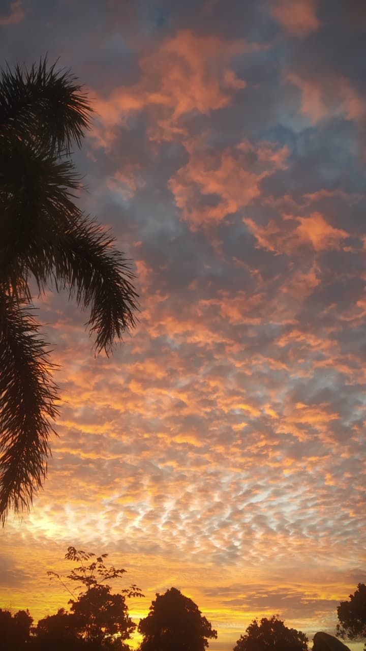 Photo by Muhammad Taufiq Fauzan