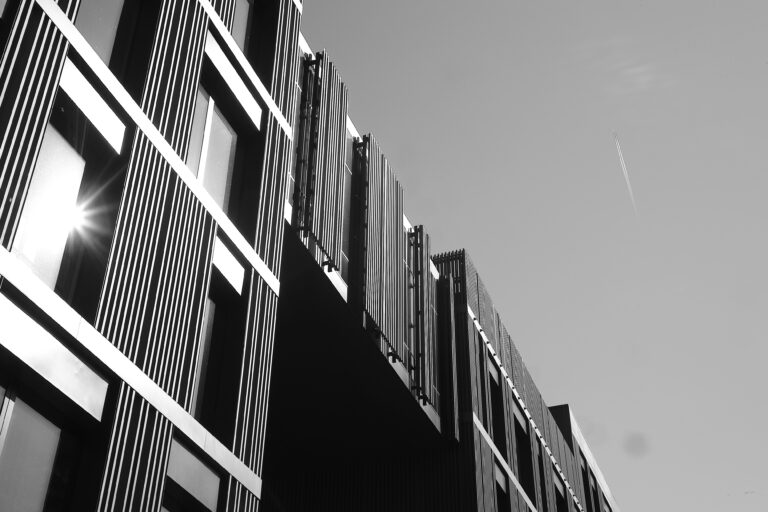 Photo by Codie Crieg