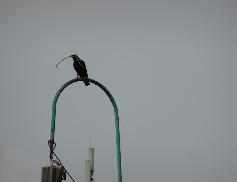 Photo by Papa Shutterbug