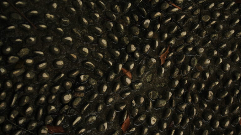 Photo by Muhammad Taufiq Fauzan