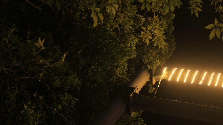 Photo by Muhammad Taufiq Fauzan