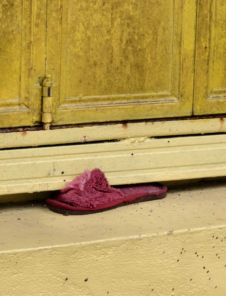 Photo by Papa Shutterbug