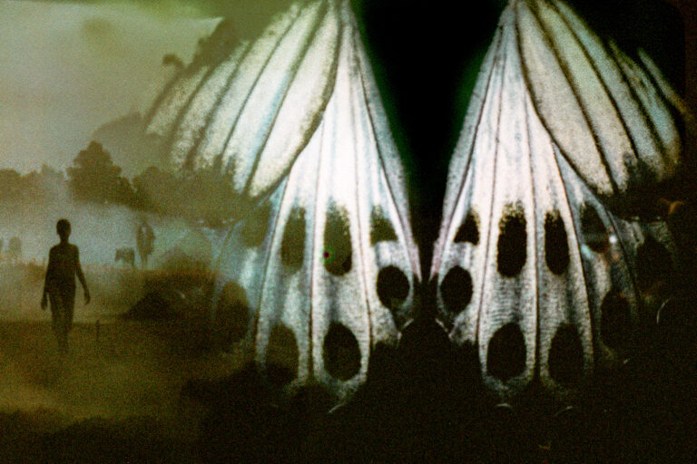 Photo by Alex 艾老师