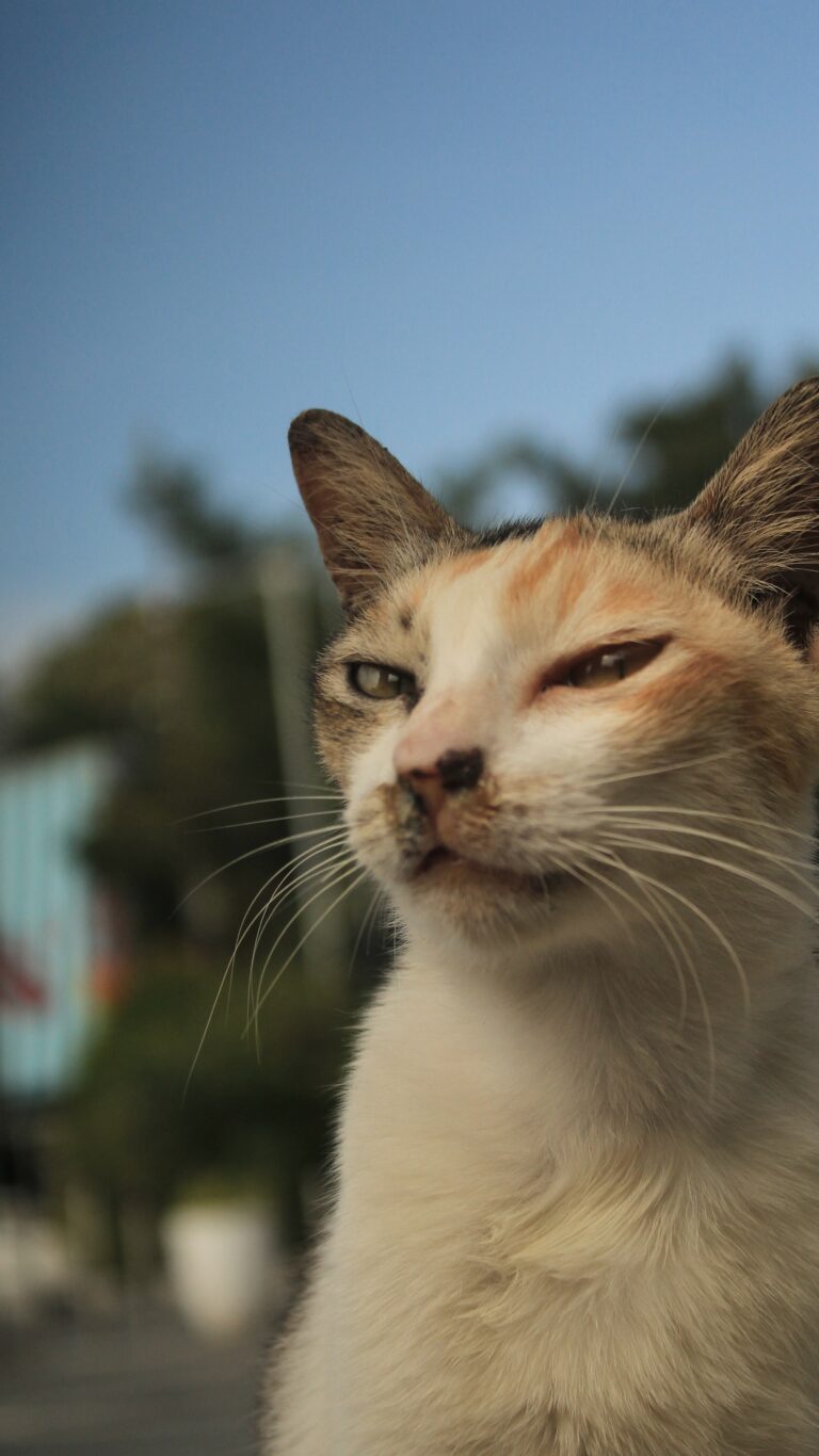 Photo by Muhammad Taufiq Fauzan