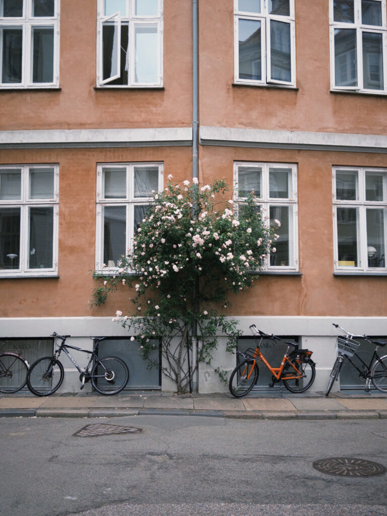 Photo by Hafiq Nasir