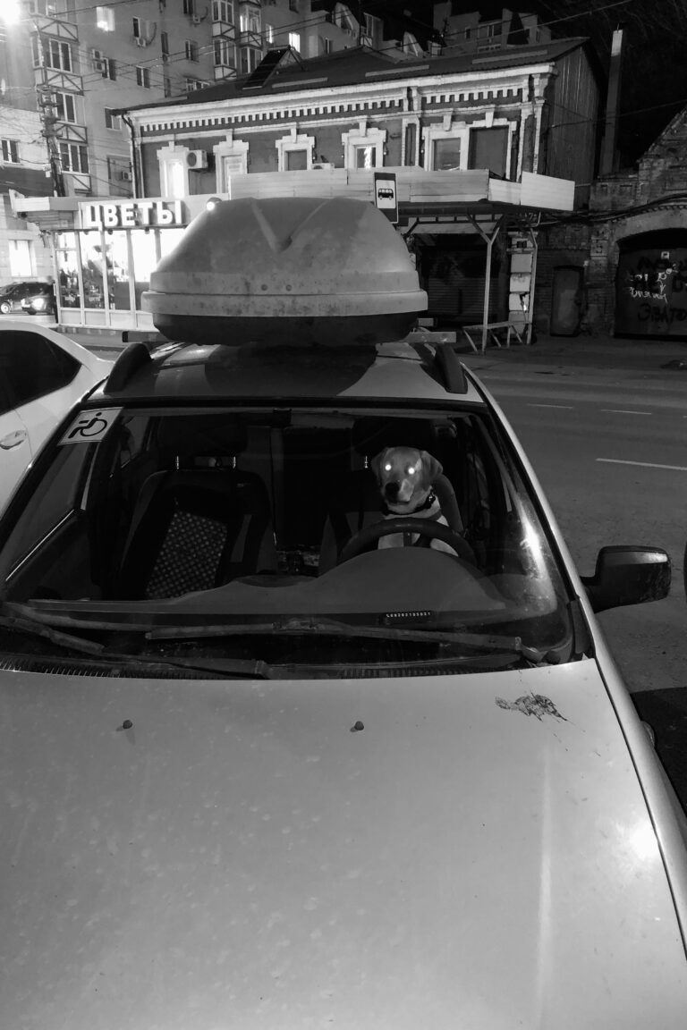 Photo by Ilya Borotinsky