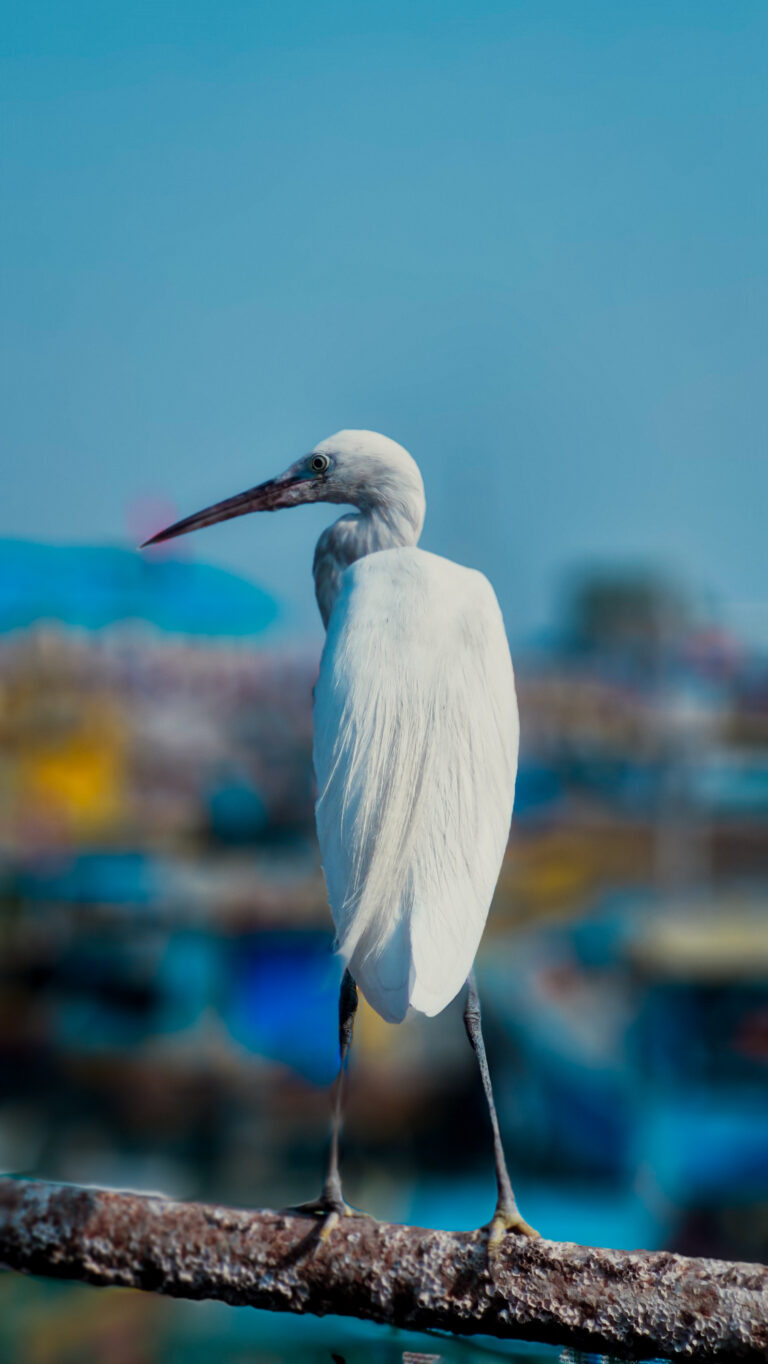 Photo by Arpan Pandit