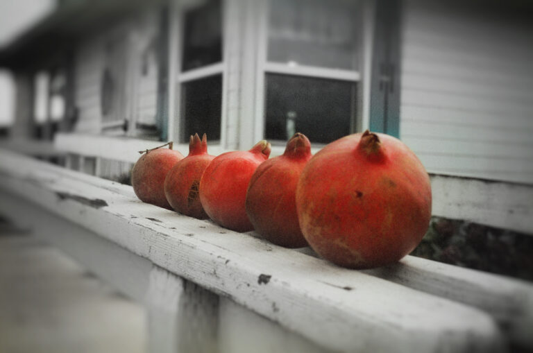 Photo by Ernesto Najar