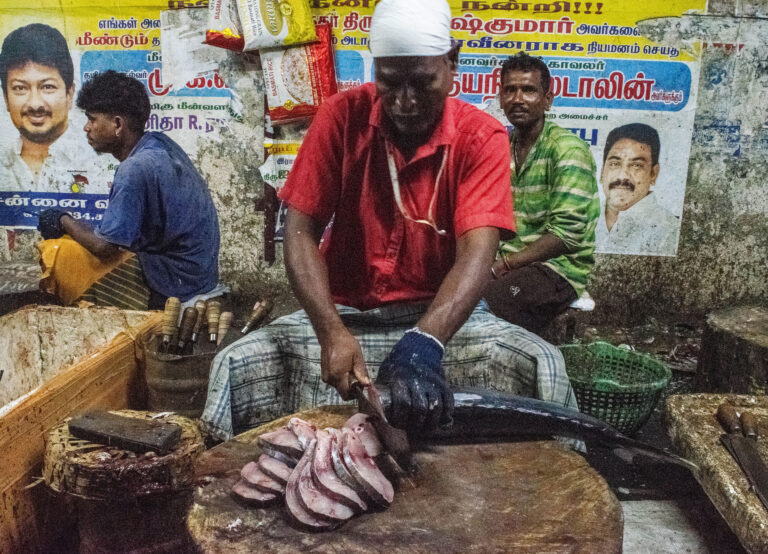 Photo by Michael Kennedy