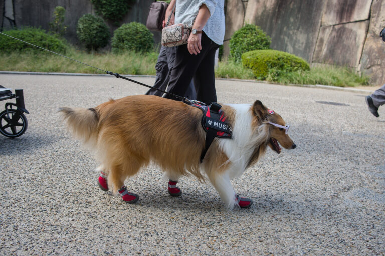 Photo by Black Pixel