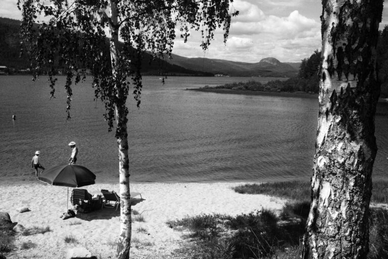 Photo by Roham Rasai