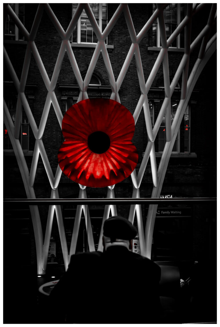 Photo by Steve Harrison