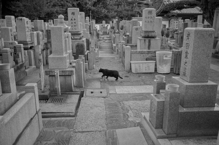 Photo by Black Pixel