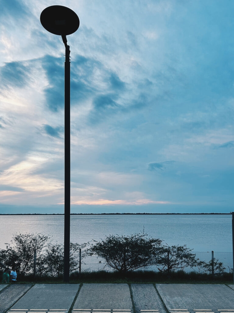 Photo by Patrick Souza