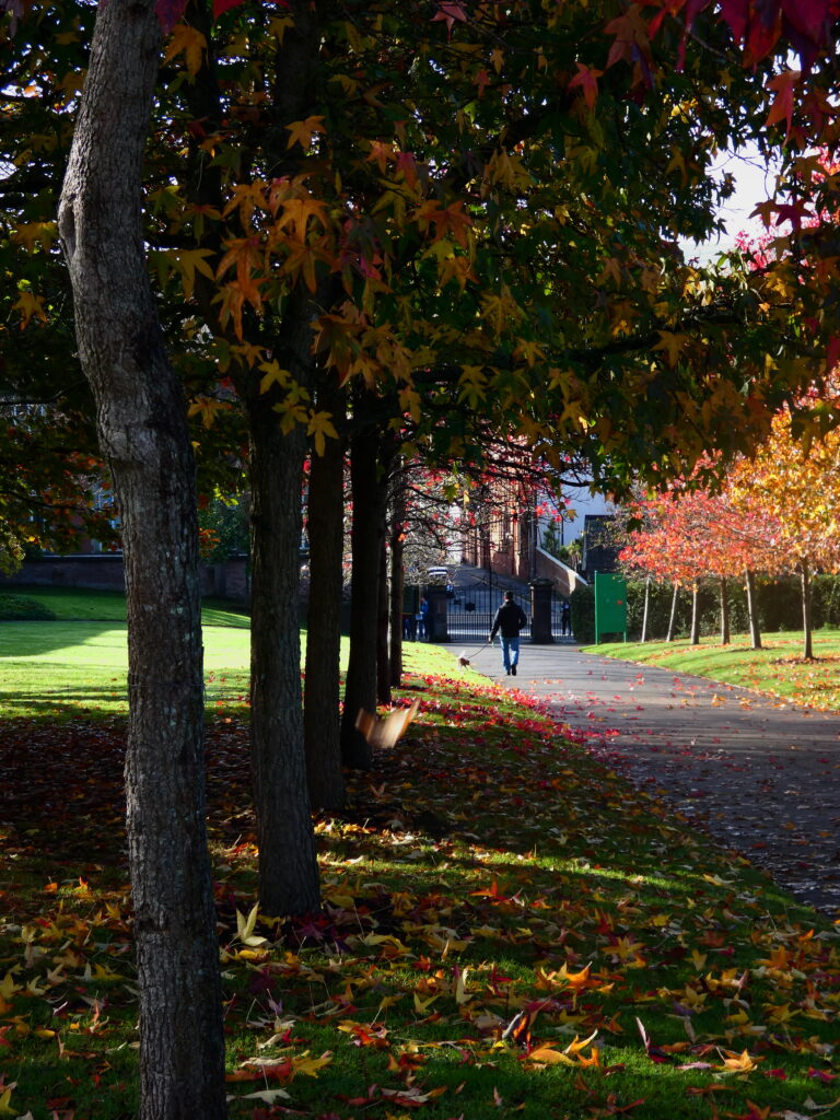 Photo by Yusuf Gungor