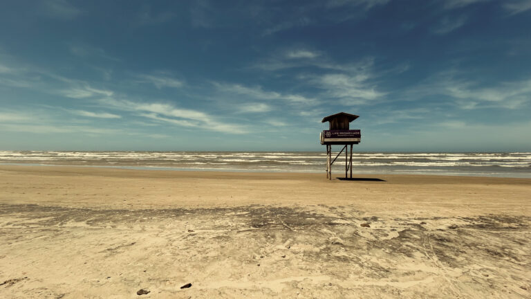 Photo by Patrick Souza