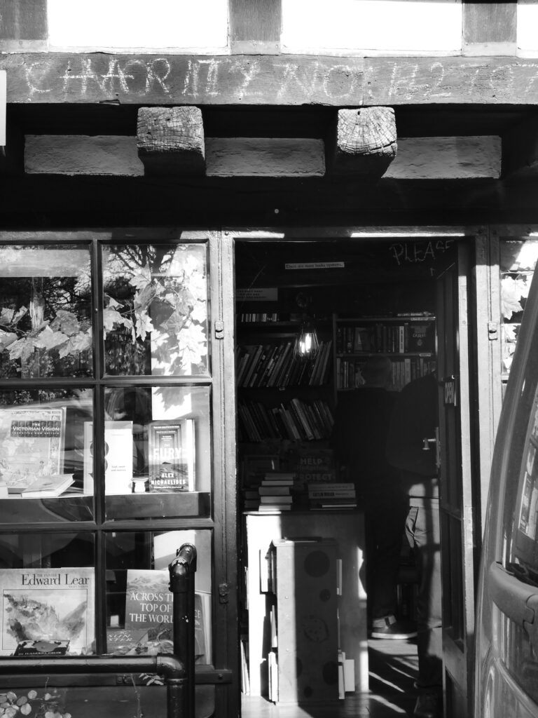 Photo by Yusuf Gungor