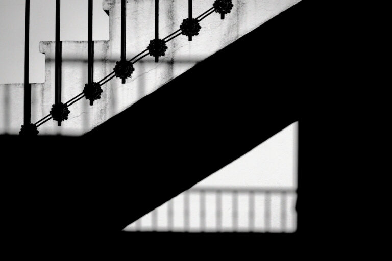 Photo by Trevor Morse