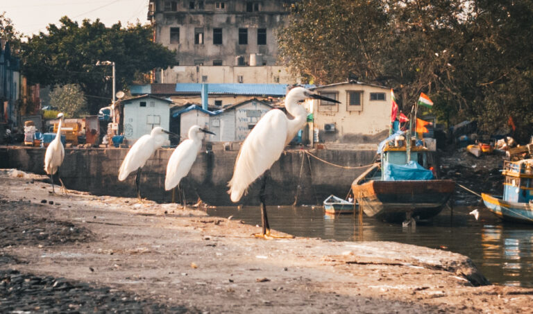 Photo by Arpan Pandit